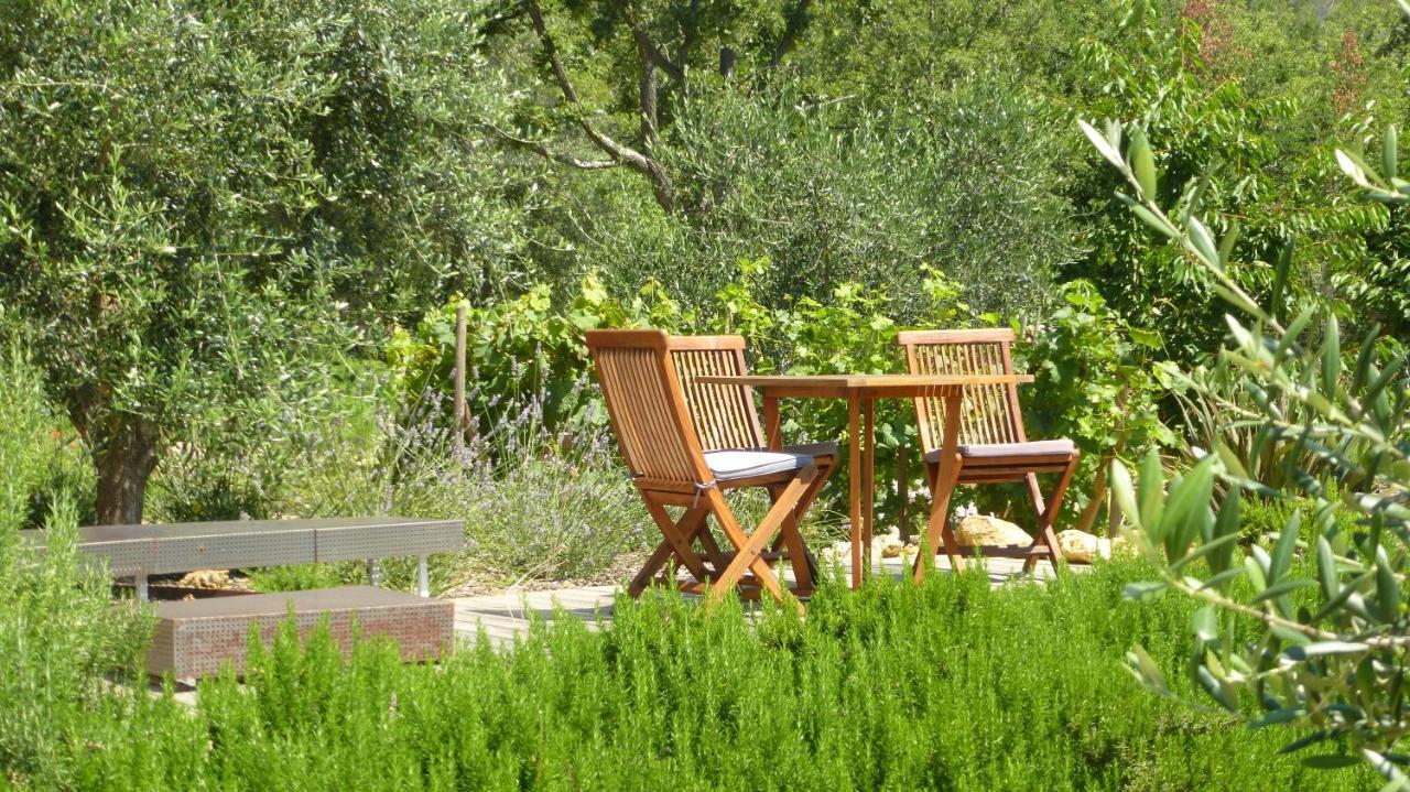 Le Vallon Des Oliviers Montauroux Exterior foto